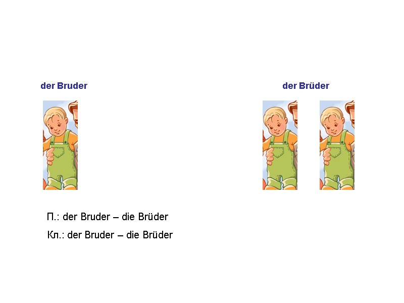 der Bruder der Brüder П.: der Bruder – die Brüder Кл.: der Bruder –